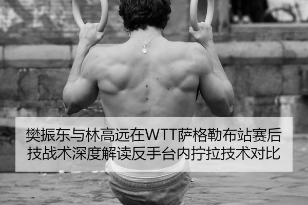 樊振东与林高远在WTT萨格勒布站赛后技战术深度解读反手台内拧拉技术对比